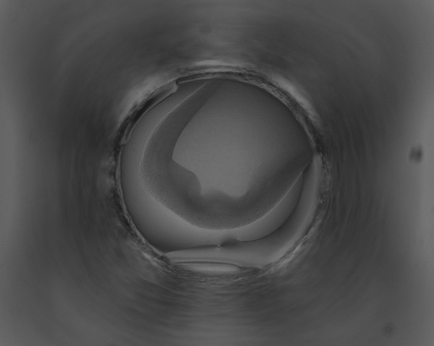 X0000091461357200708301822