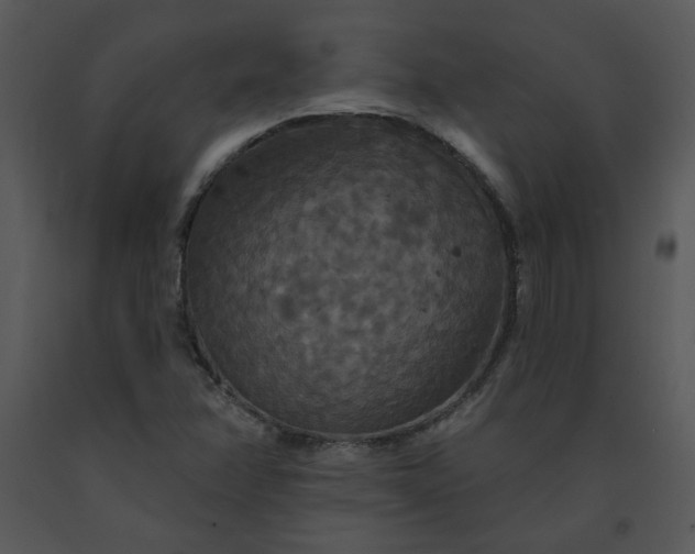 X0000091461358200708301822