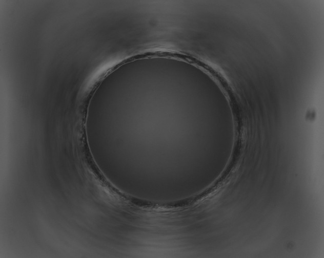 X0000091461359200708301822