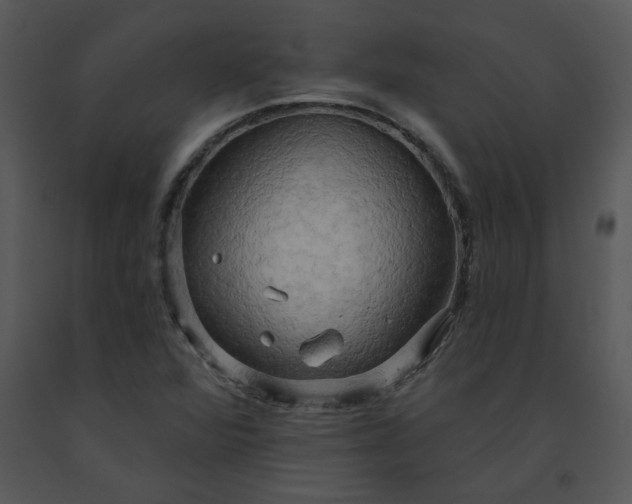 X0000091461360200708301822