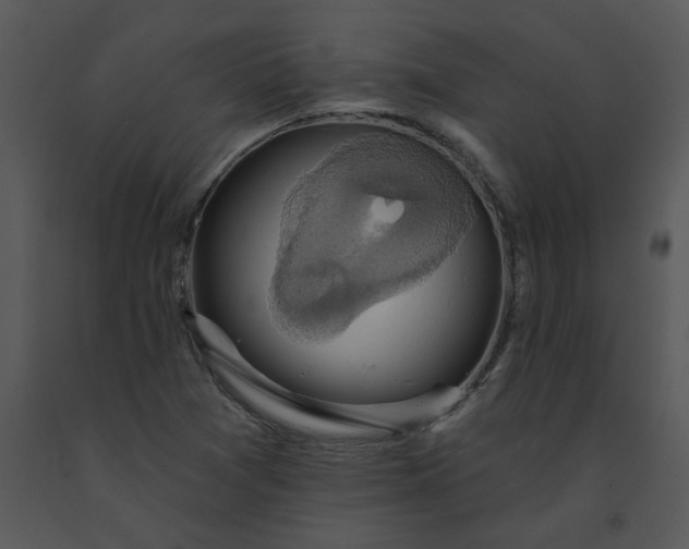 X0000091461361200708301822