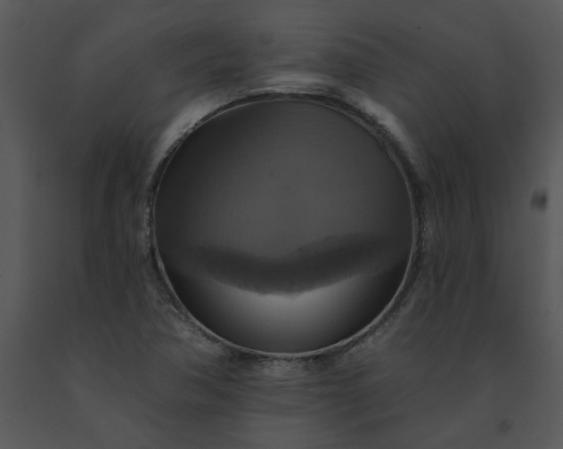 X0000091461362200708301822