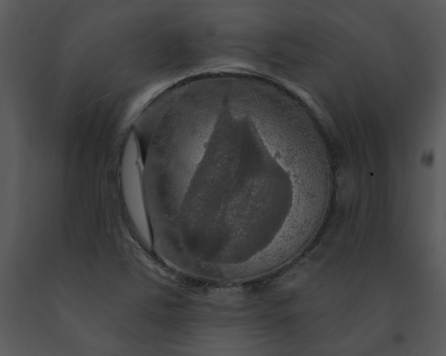 X0000091461363200708301822