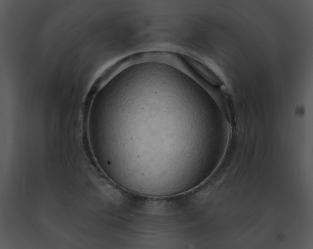 X0000091461364200708301822