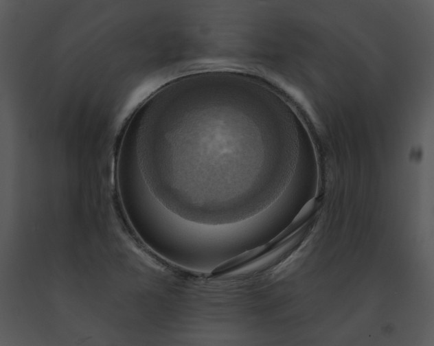 X0000091461365200708301822