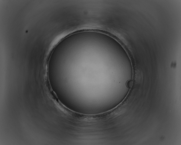 X0000091461366200708301822