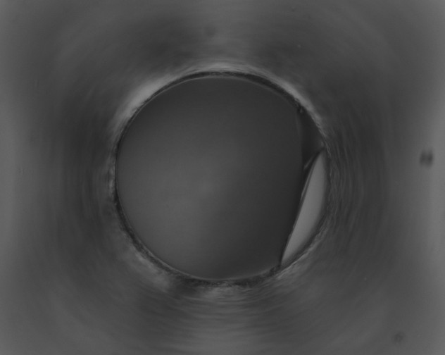 X0000091461367200708301822