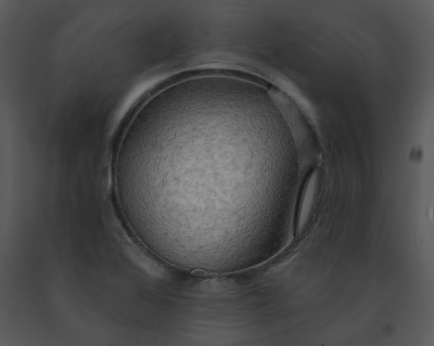 X0000091461368200708301822