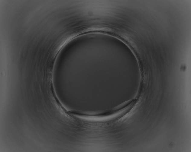 X0000091461369200708301822