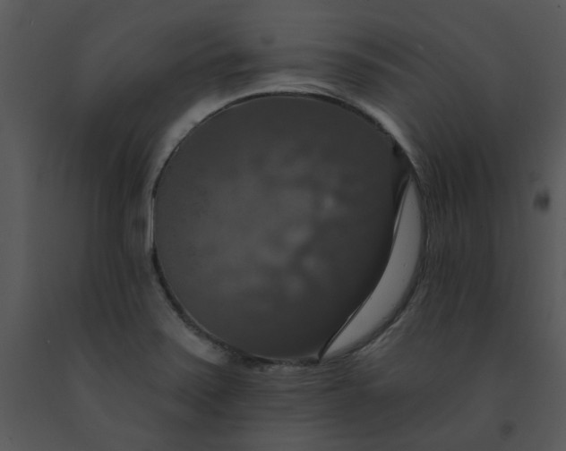 X0000091461371200708301822