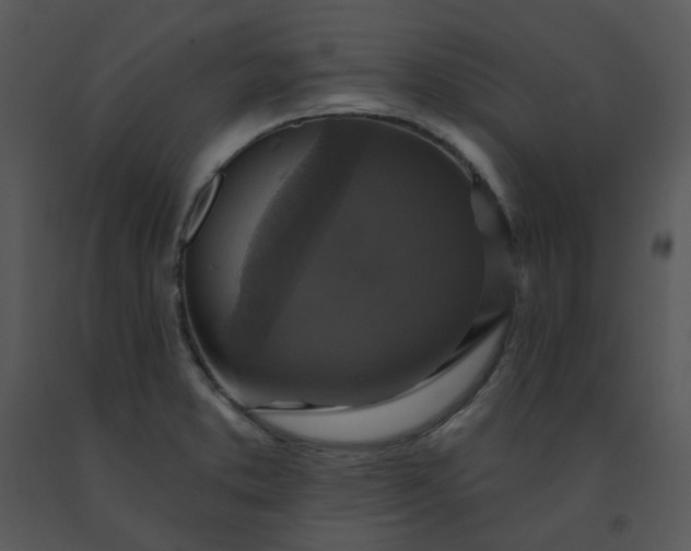 X0000091461373200708301822