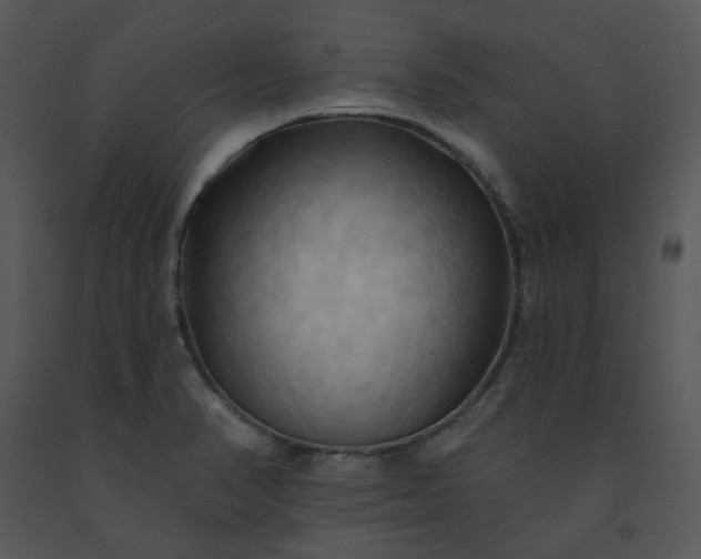 X0000091461374200708301822