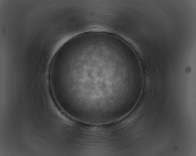 X0000091461375200708301822