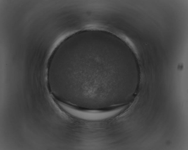 X0000091461376200708301822