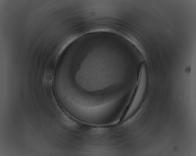 X0000091461377200708301822