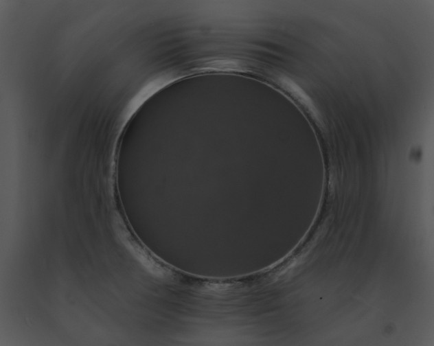 X0000091461378200708301822