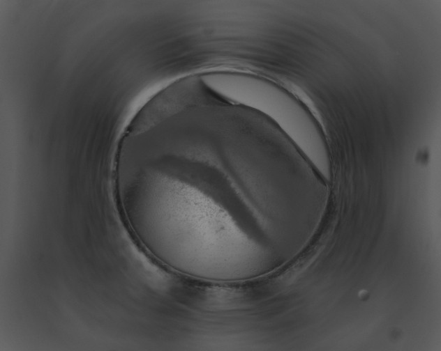 X0000091461379200708301822