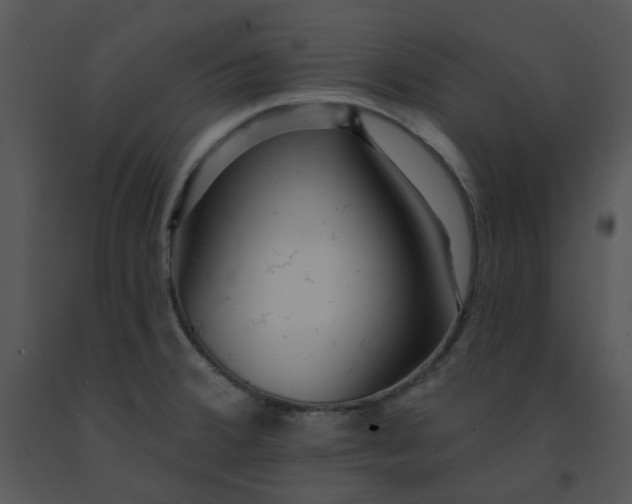 X0000091461380200708301822