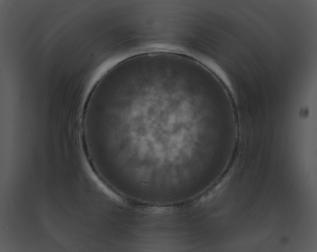 X0000091461381200708301822