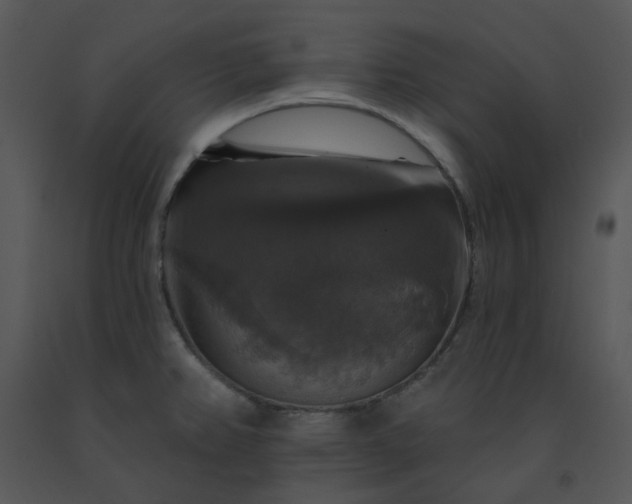 X0000091461382200708301822