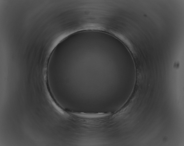 X0000091461383200708301822