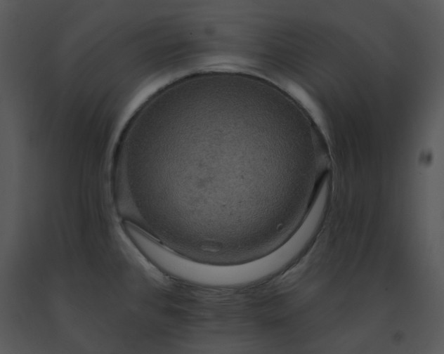 X0000091461384200708301822