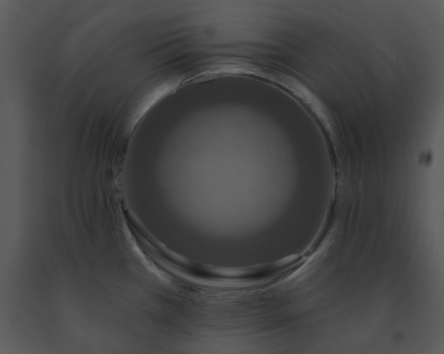 X0000091461385200708301822