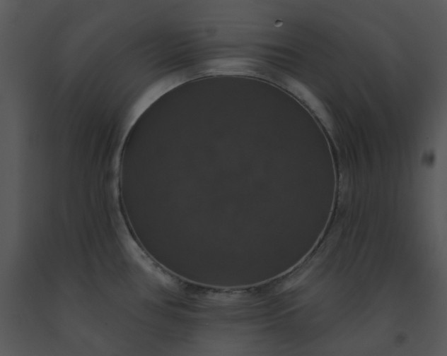 X0000091461386200708301822