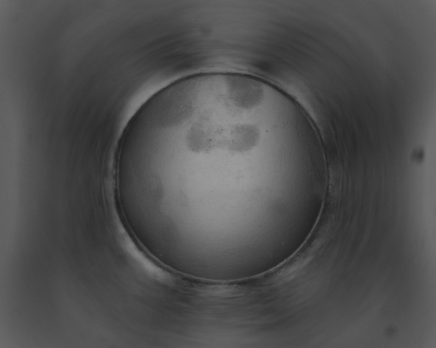 X0000091461387200708301822