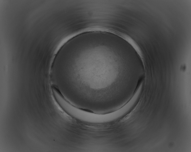 X0000091461388200708301822