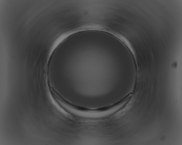 X0000091461389200708301822