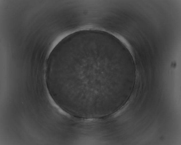 X0000091461390200708301822