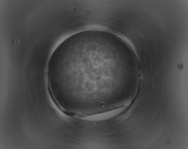 X0000091461391200708301822