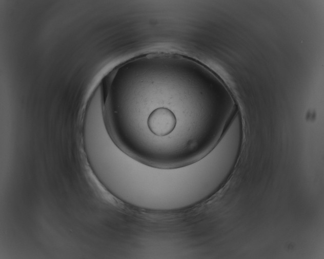 X0000091461392200708301822