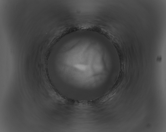 X0000091461393200708301821