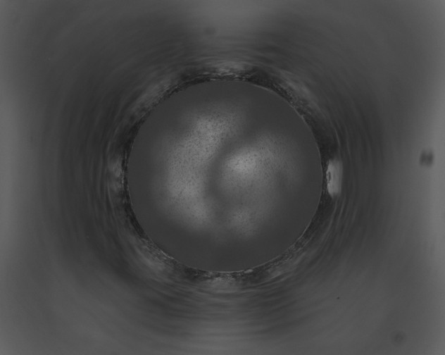 X0000091461395200708301821