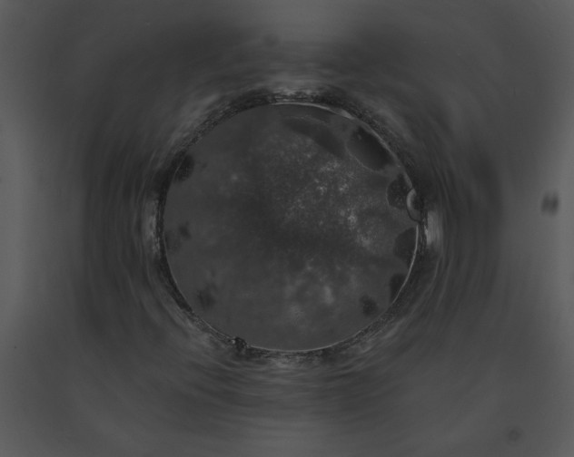 X0000091461396200708301821