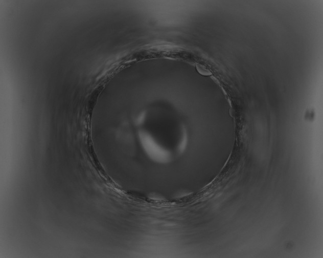 X0000091461397200708301821