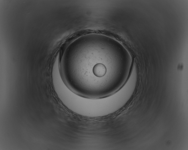 X0000091461398200708301821