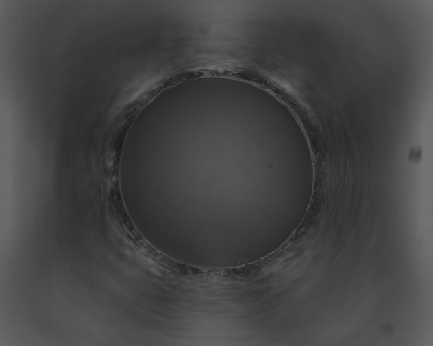 X0000091461399200708301821