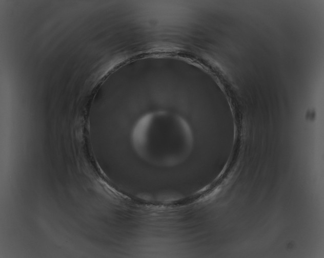 X0000091461401200708301821