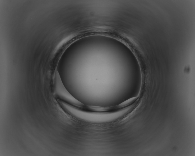 X0000091461402200708301821