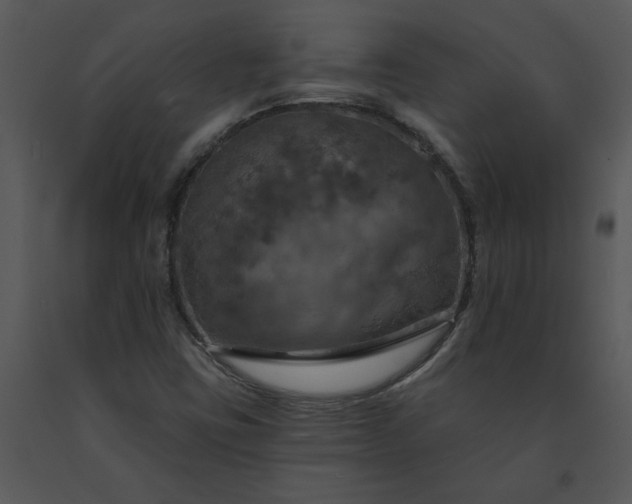 X0000091461403200708301821