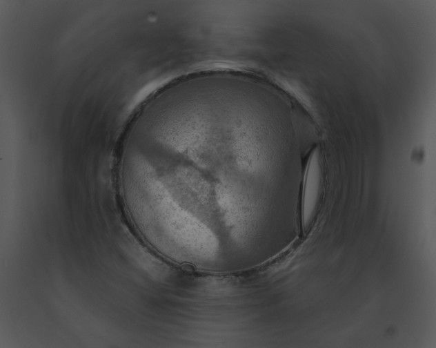 X0000091461404200708301821