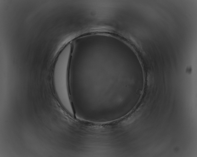 X0000091461405200708301821