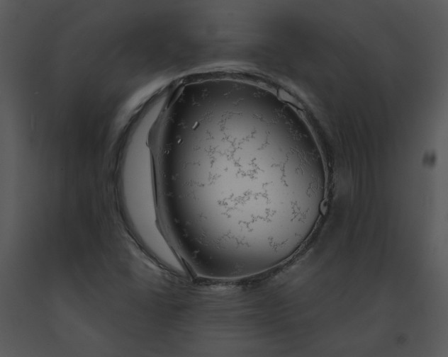 X0000091461406200708301821