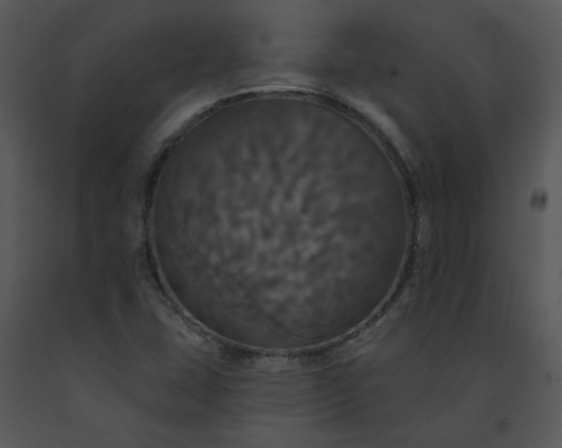 X0000091461407200708301821