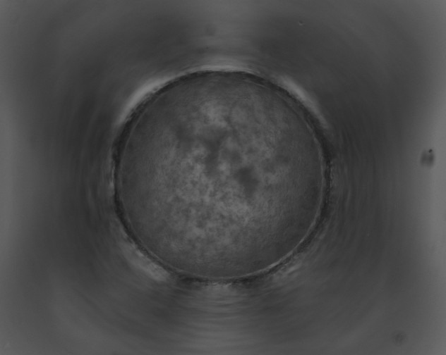 X0000091461408200708301821