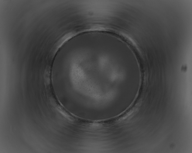 X0000091461409200708301821