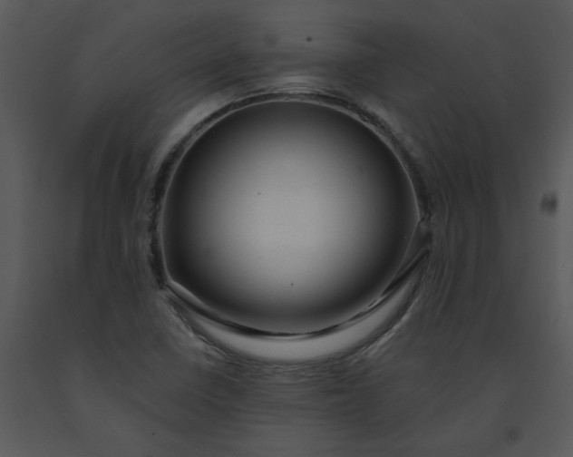 X0000091461410200708301821